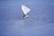 Sports sailing in small boats