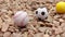 Sports souvenirs of balls on stones