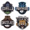 Sports teams colorful vintage badges