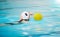 Sports, water polo and athlete swimming with a ball for a competition, exercise or hobby. Fitness, blur motion and