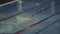 Sports woman swimmer diving in clear water in empty swimming pool slow motion