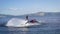 Sportsman is performing extreme tricks on flyboard on sea, controlling water flows by legs in summer day