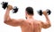 Sportsman with strong back and arms. Sport equipment. Bodybuilding sport. Sport lifestyle. Dumbbell exercise gym
