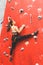 Sportswoman climber moving up on steep rock, climbing on artificial wall indoors. Extreme sports and bouldering concept