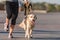 Sportswoman jogging with dog