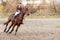 Sportswoman riding horse on equestrian competition