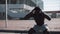 Sporty African American man doing squats outdoors near the sports stadium. Workout, fitness, health, beauty, motivation