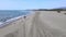 Sporty athlete lady runs along sandy beach with puppies