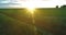 Sporty child runs through a green wheat field. Evening sport training exercises at rural meadow. A happy childhood is a