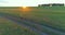 Sporty child runs through a green wheat field. Evening sport training exercises at rural meadow. A happy childhood is a