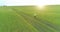 Sporty child runs through a green wheat field. Evening sport training exercises at rural meadow. A happy childhood is a