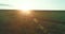 Sporty child runs through a green wheat field. Evening sport training exercises at rural meadow. A happy childhood is a