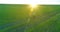 Sporty child runs through a green wheat field. Evening sport training exercises at rural meadow. A happy childhood is a