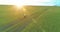 Sporty child runs through a green wheat field. Evening sport training exercises at rural meadow. A happy childhood is a