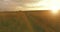 Sporty child runs through a green wheat field in summer rain. Evening sport training exercises at rural meadow. A happy