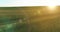 Sporty child standing in green wheat field with raised hands up. Evening sport training exercises at rural meadow. A