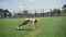 Sporty girl doing exercises on the agility ladder