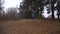 Sporty woman jogging with dog in autumn forest