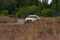 A sporty yellow sedan drives at high speed on an autumn paved ro