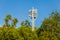 Spotlight football field and tree