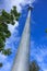 Spotlight tower with tall tree and blue sky