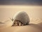 A spotted armadillo scuttling across the desert sand. Cute creature. AI generation