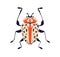 Spotted beetle. Fancy fiction wild bug icon, top view. Fantasy fauna species. Summer animal, wild insect with spotty