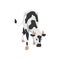 Spotted black and white cow standing, flat vector illustration isolated.