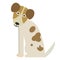 Spotted brown dog flat illustration