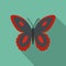 Spotted butterfly icon, flat style.