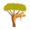 Spotted Cheetah Sitting on Tree Branch as African Animal Vector Illustration