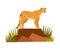 Spotted Cheetah Standing on Rock as African Animal Vector Illustration