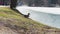 Spotted duck walks on young grass to a pond covered with a thin layer of ice