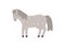 Spotted gray pony horse cartoon character, flat vector illustration isolated.