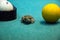 Spotted green frog on  pool table with old dirty billiard balls and shabby dusty green cloth. the concept of foul play, toad of