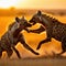 Spotted hyenas fighting in the