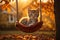 Spotted kitten is playing on the swing during autumn sunset