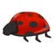 Spotted ladybug icon cartoon vector. Ladybird beetle