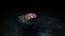 Spotted lagoon jellyfish swimming at night