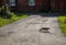 Spotted lonely cat walks along a dirt road against the background of a brick old building