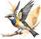 Spotted pardalote bird. Bird clipart. AI-generated.