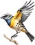 Spotted pardalote bird. Bird clipart. AI-generated.