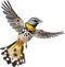 Spotted pardalote bird. Bird clipart. AI-generated.
