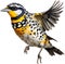 Spotted pardalote bird. Bird clipart. AI-generated.