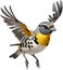 Spotted pardalote bird. Bird clipart. AI-generated.