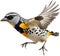 Spotted pardalote bird. Bird clipart. AI-generated.
