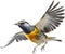 Spotted pardalote bird. Bird clipart. AI-generated.