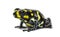 Spotted poison frog, Spotted poison frog, isolated