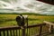 Spotting scopes at wildlife observatory overlooking migratory bird and wildlife habitat in the Erie national wildlife refuge near