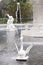 Spouting Swan of Forsyth Park Fountain Savannah GA